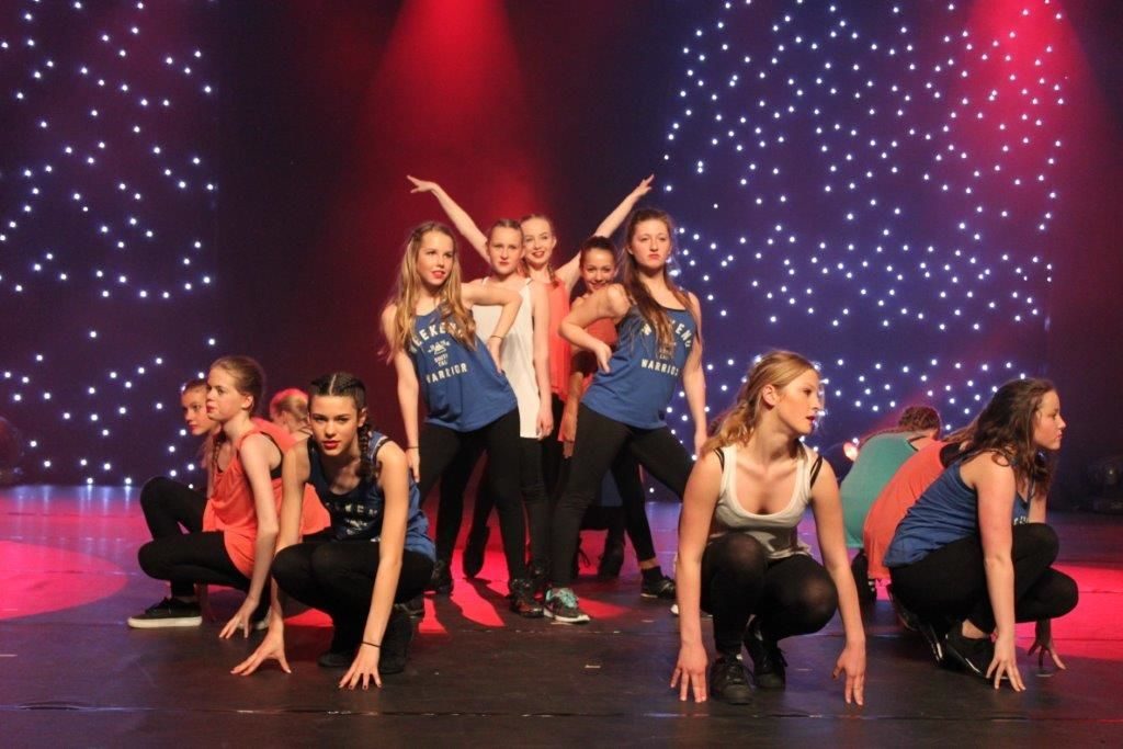 cropped-show1-1.jpg